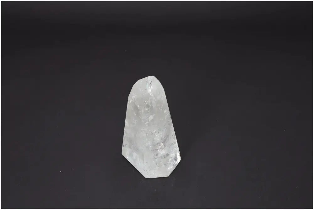 orbitvu|type:image2d