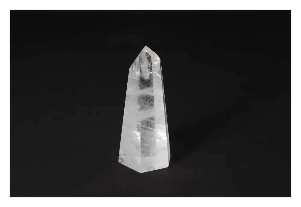 orbitvu|type:image2d