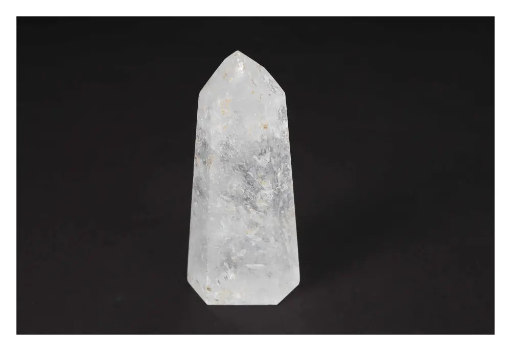 orbitvu|type:image2d