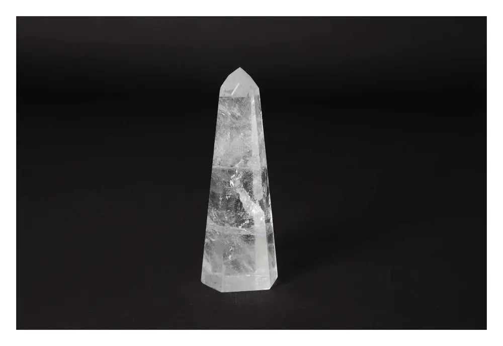 orbitvu|type:image2d