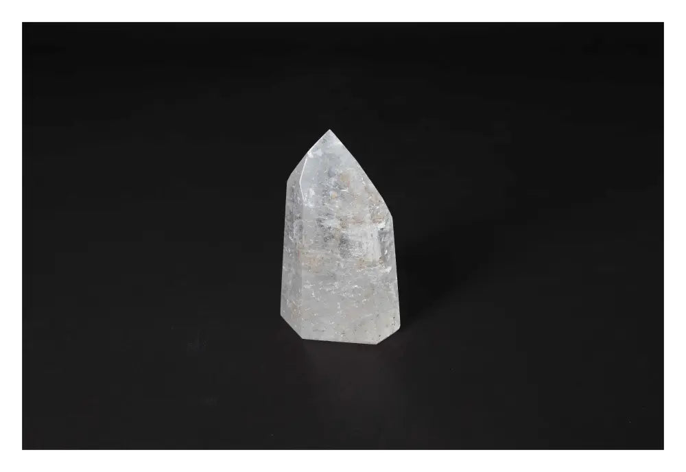 orbitvu|type:image2d