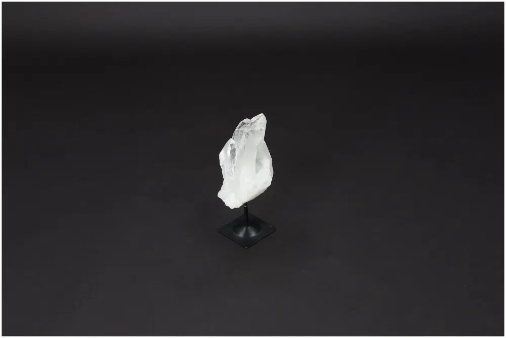 orbitvu|type:image2d