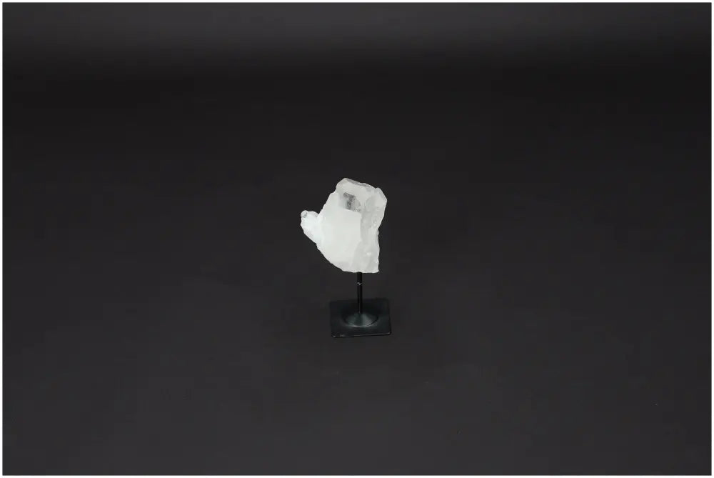 orbitvu|type:image2d