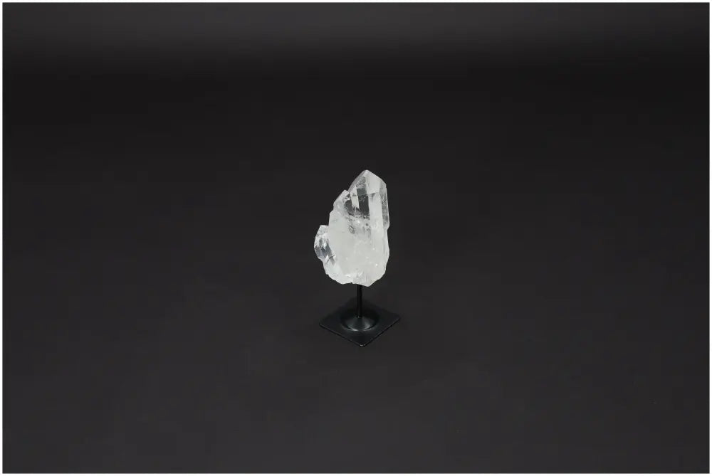 orbitvu|type:image2d