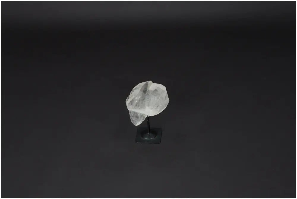 orbitvu|type:image2d