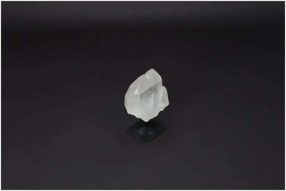 orbitvu|type:image2d