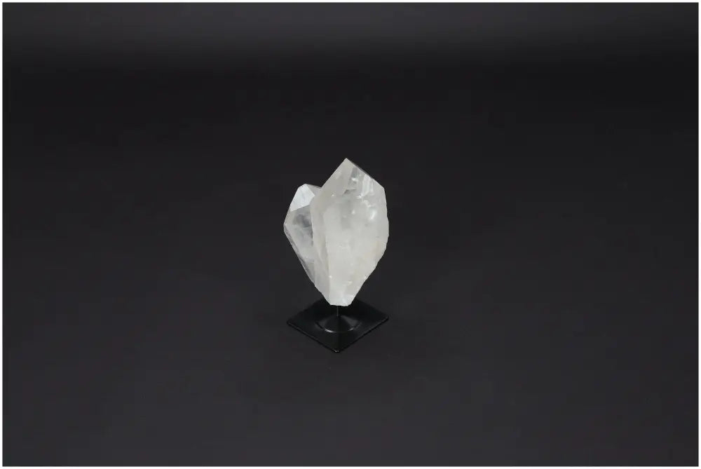 orbitvu|type:image2d