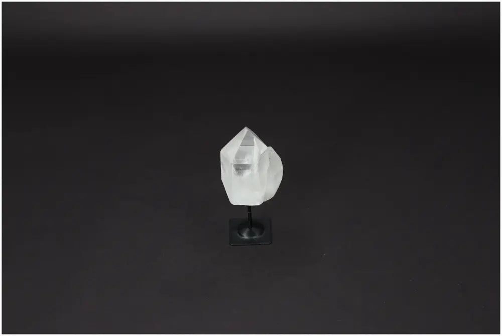 orbitvu|type:image2d