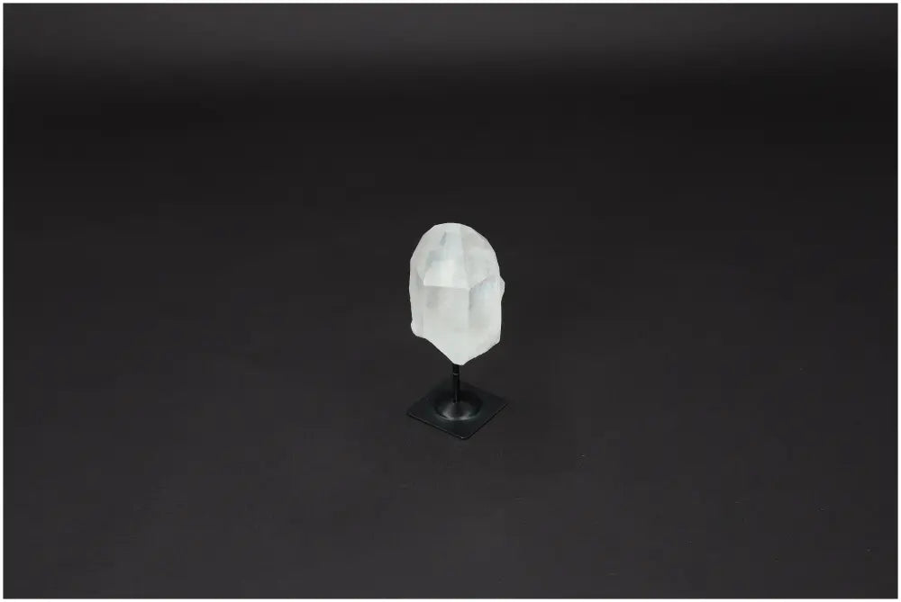 orbitvu|type:image2d