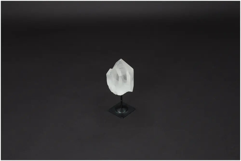 orbitvu|type:image2d