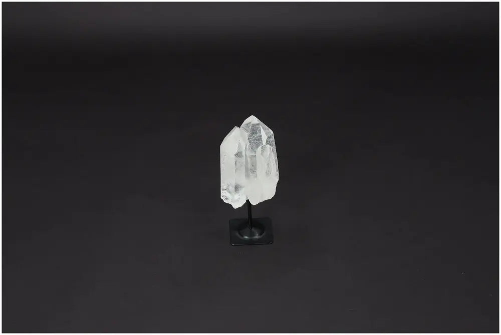 orbitvu|type:image2d