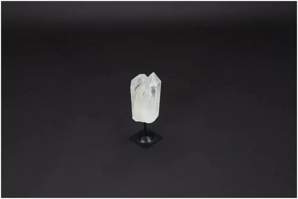 orbitvu|type:image2d