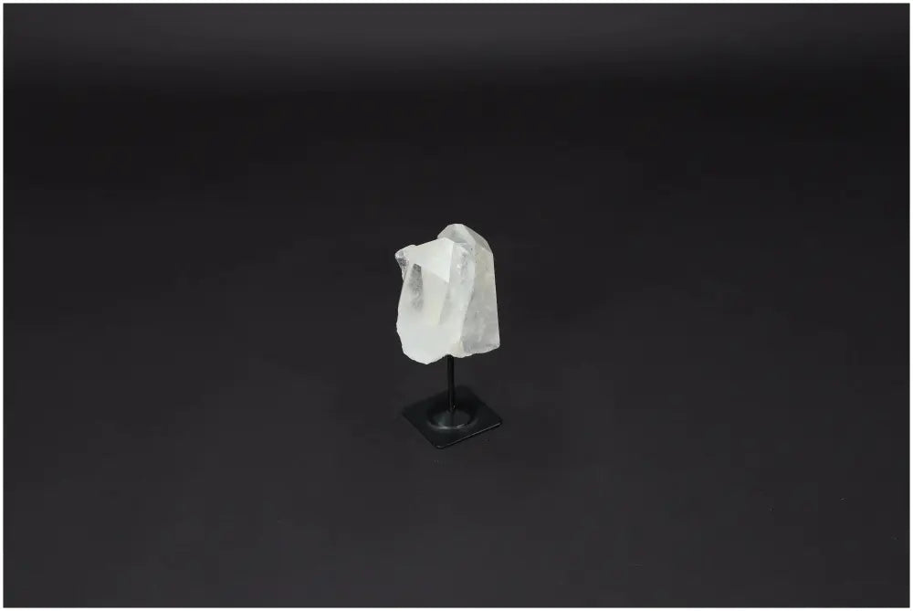 orbitvu|type:image2d