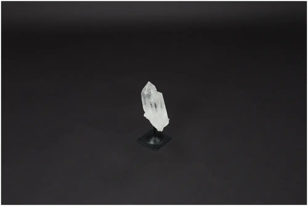 orbitvu|type:image2d