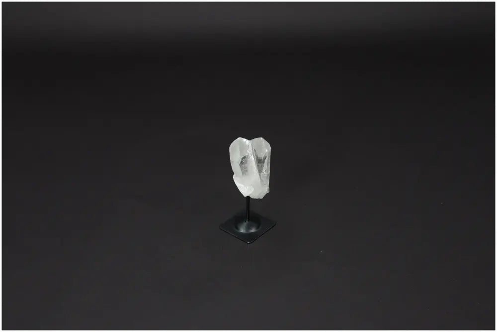 orbitvu|type:image2d