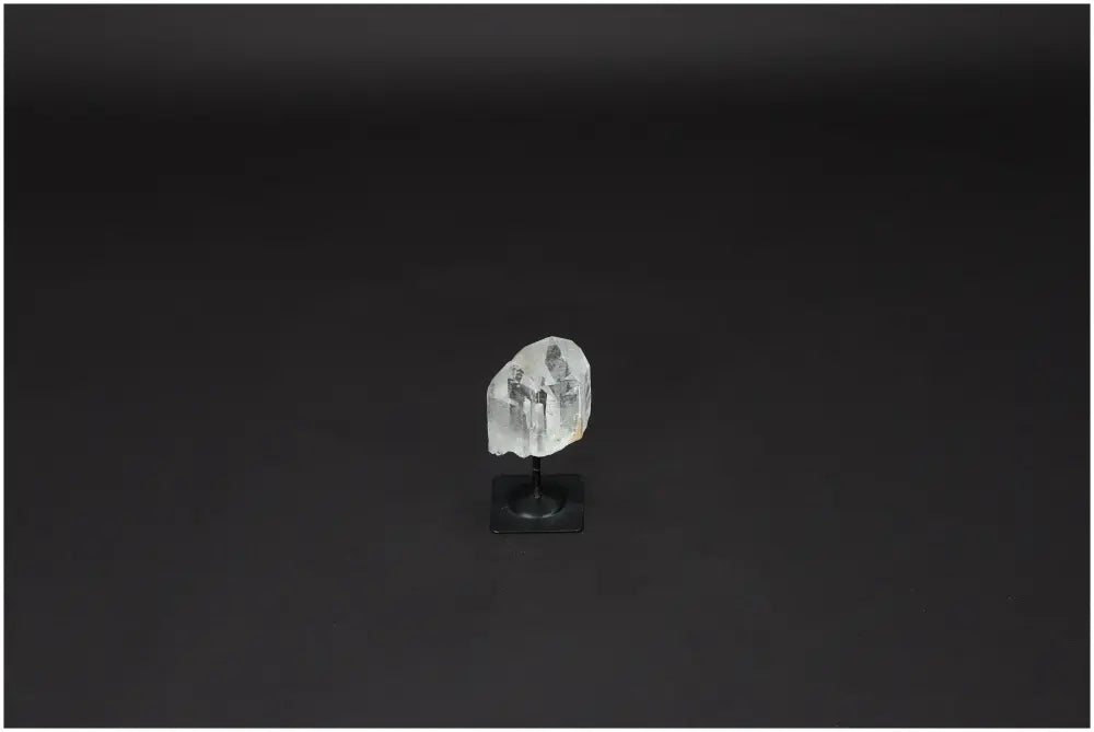 orbitvu|type:image2d