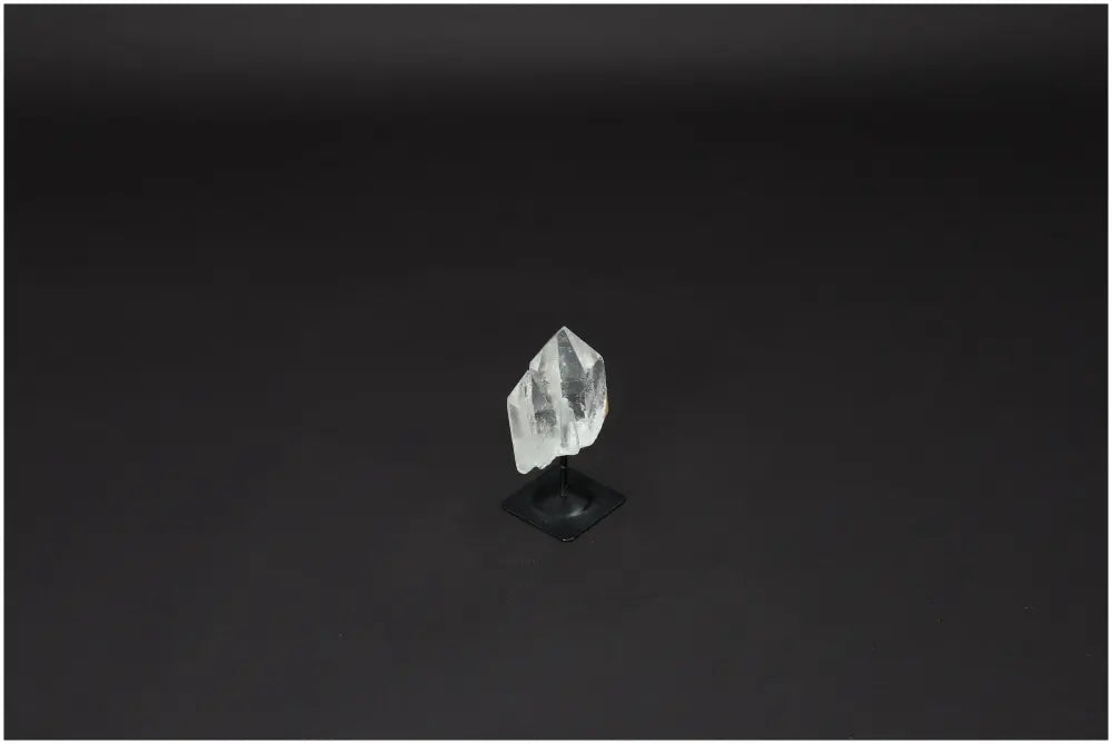 orbitvu|type:image2d