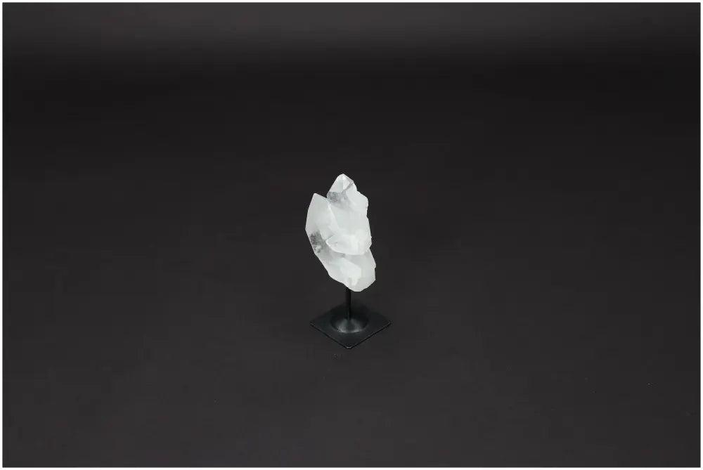 orbitvu|type:image2d