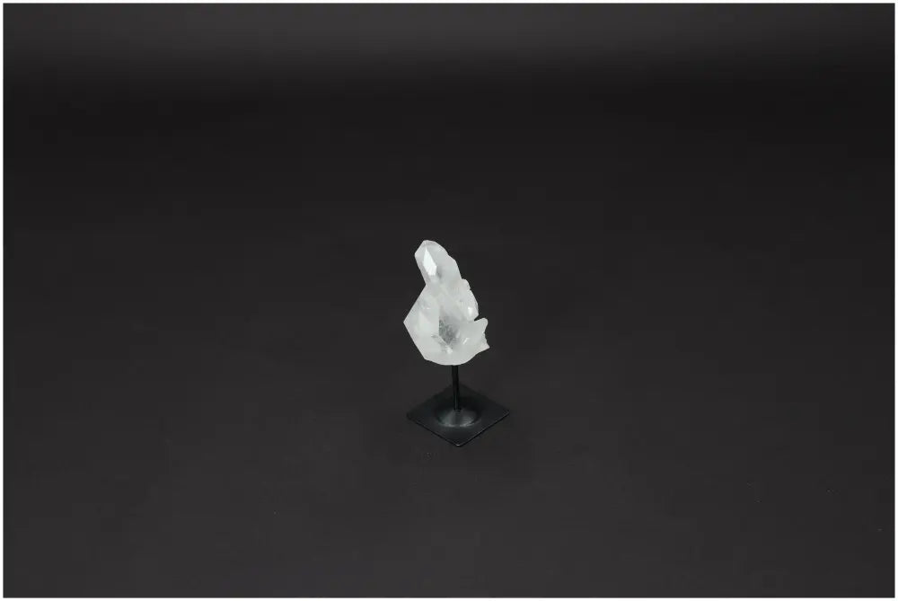 orbitvu|type:image2d