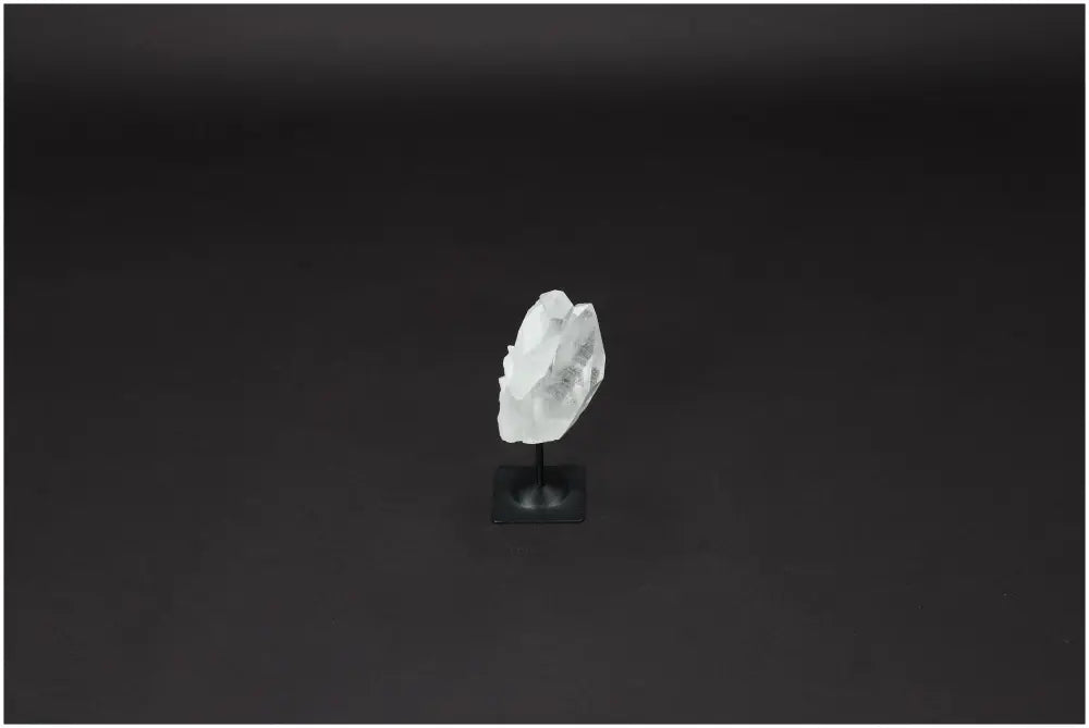 orbitvu|type:image2d