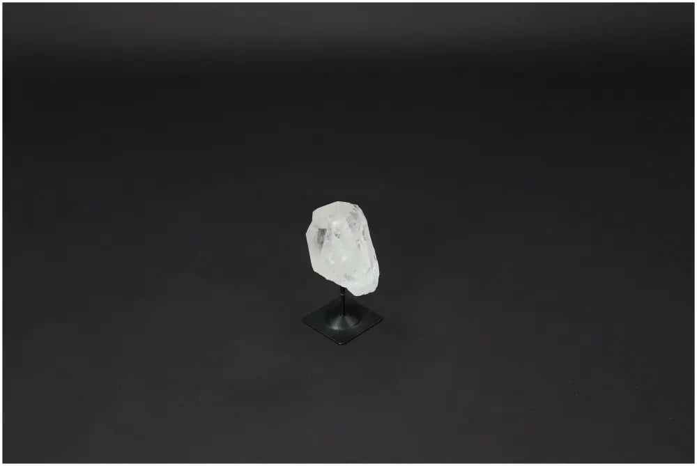 orbitvu|type:image2d