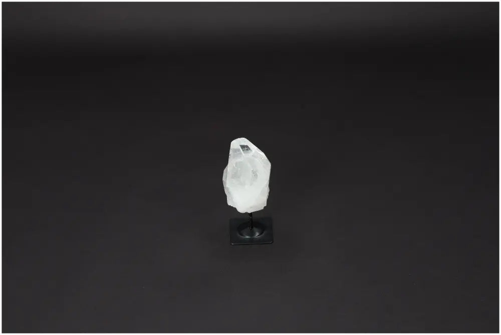 orbitvu|type:image2d