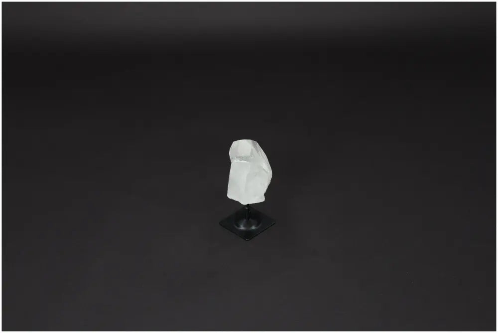 orbitvu|type:image2d