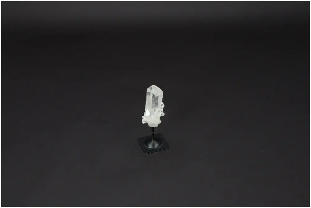 orbitvu|type:image2d