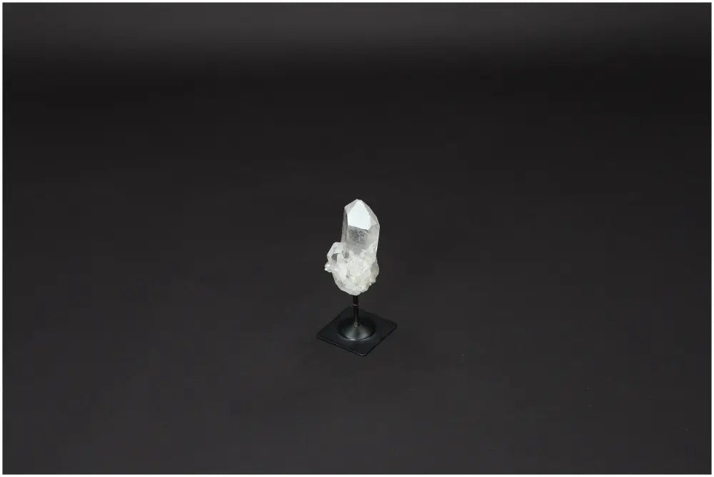 orbitvu|type:image2d