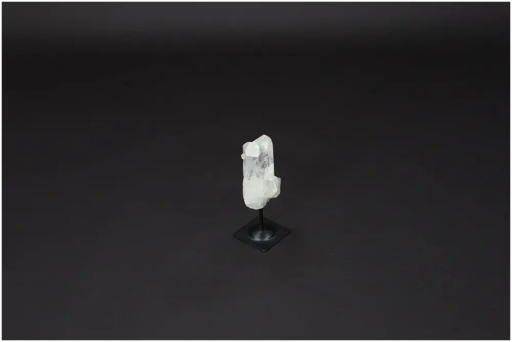 orbitvu|type:image2d