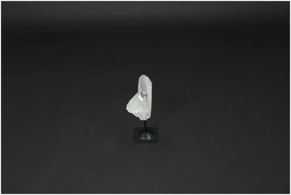 orbitvu|type:image2d