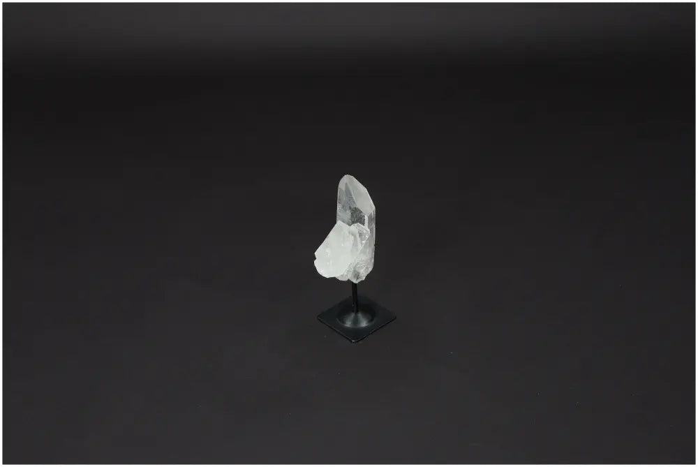 orbitvu|type:image2d