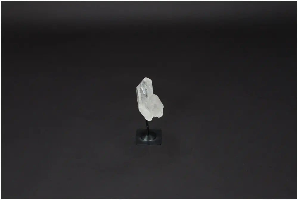 orbitvu|type:image2d