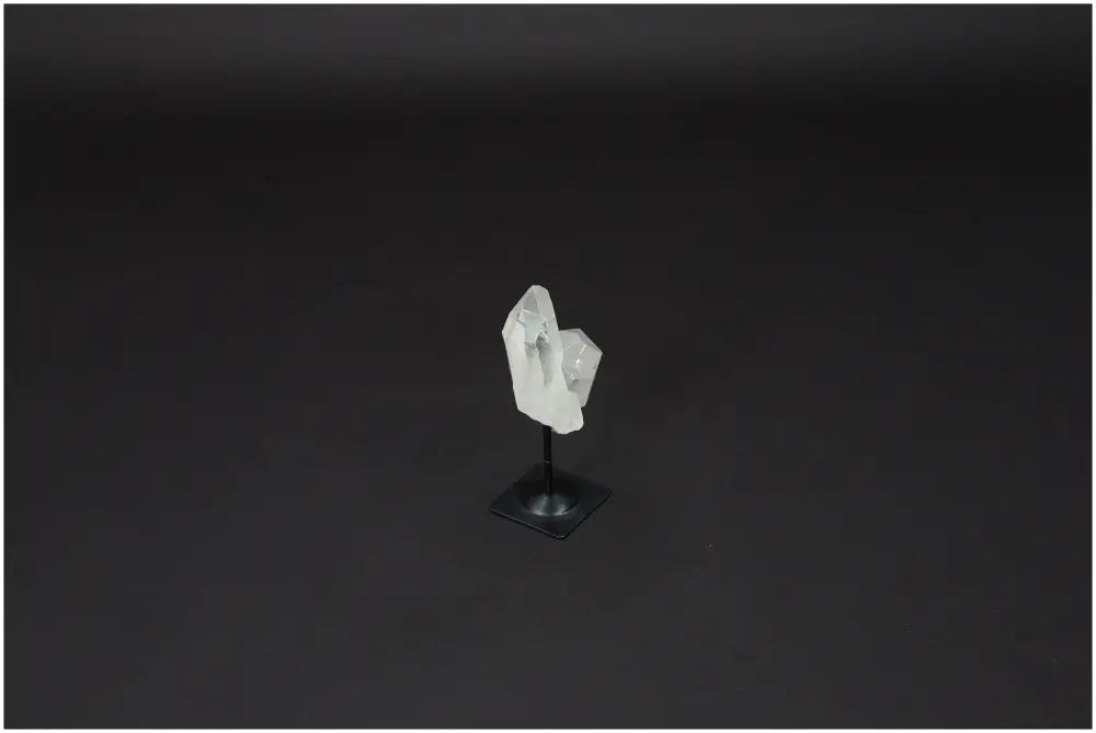 orbitvu|type:image2d