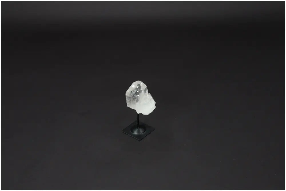 orbitvu|type:image2d