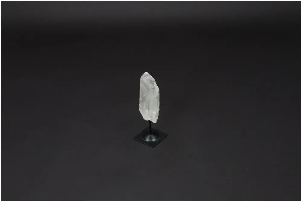 orbitvu|type:image2d