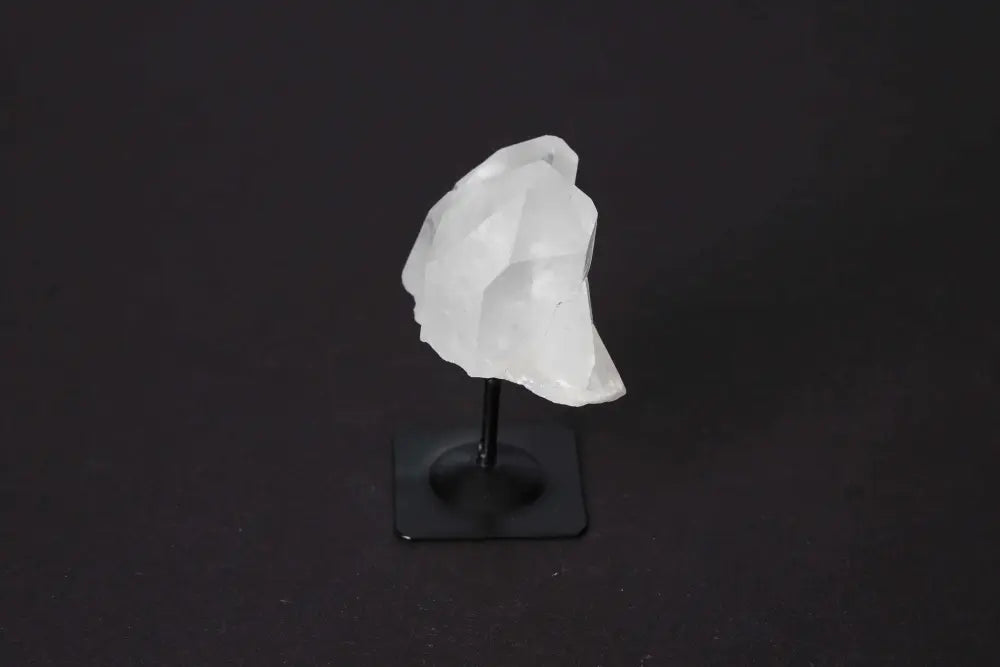 orbitvu|type:image2d