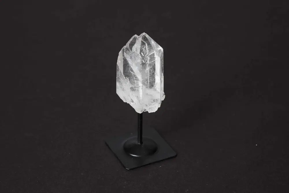 orbitvu|type:image2d