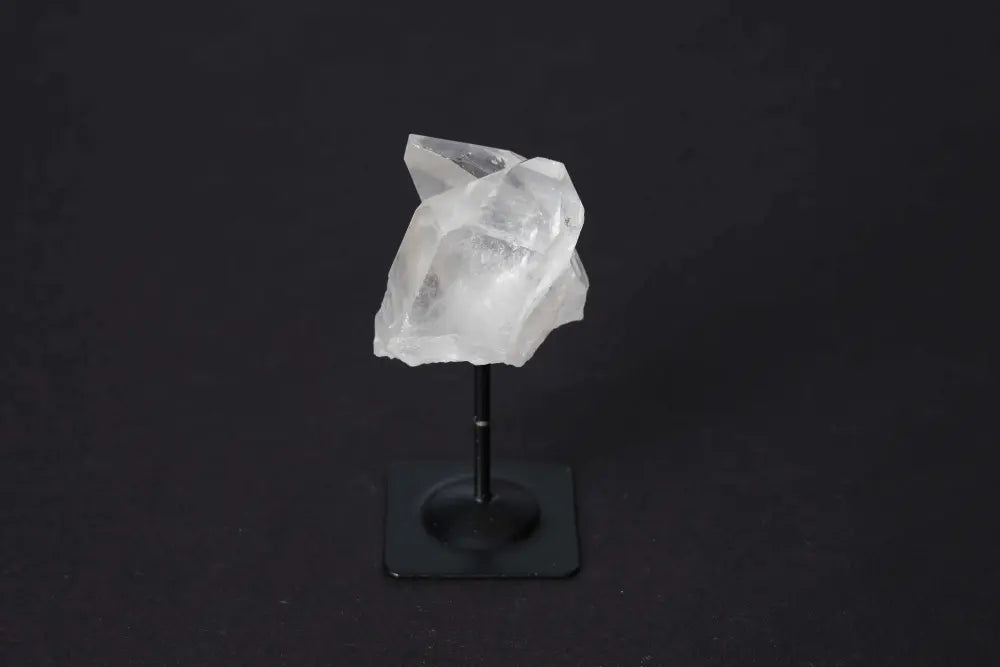 orbitvu|type:image2d