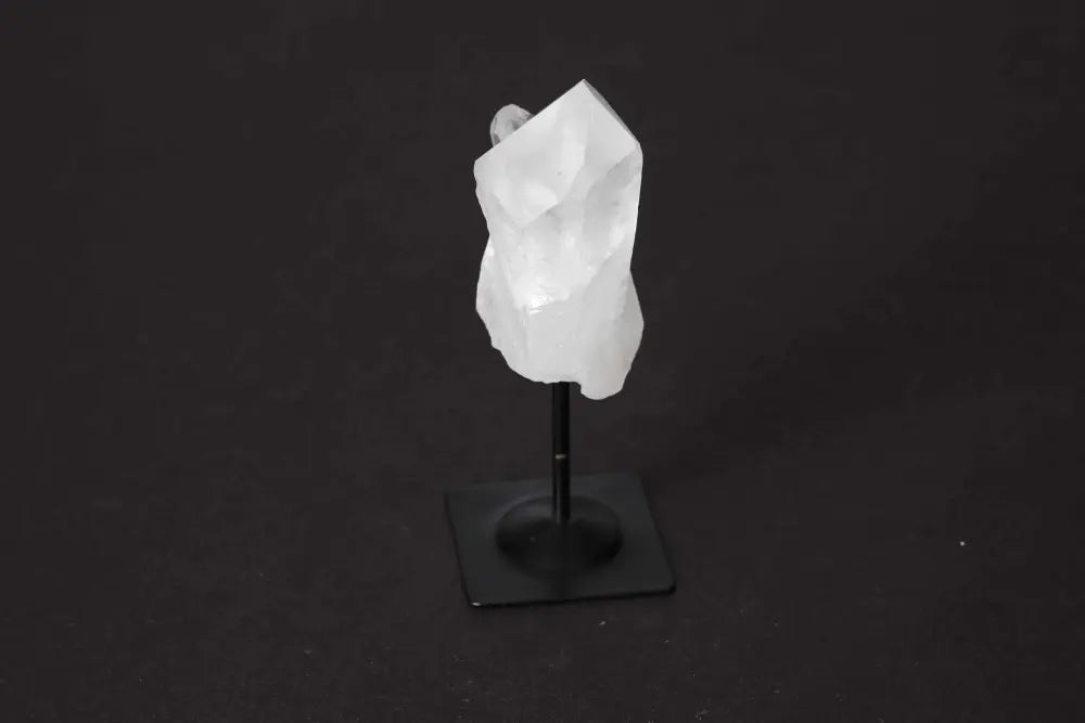 orbitvu|type:image2d