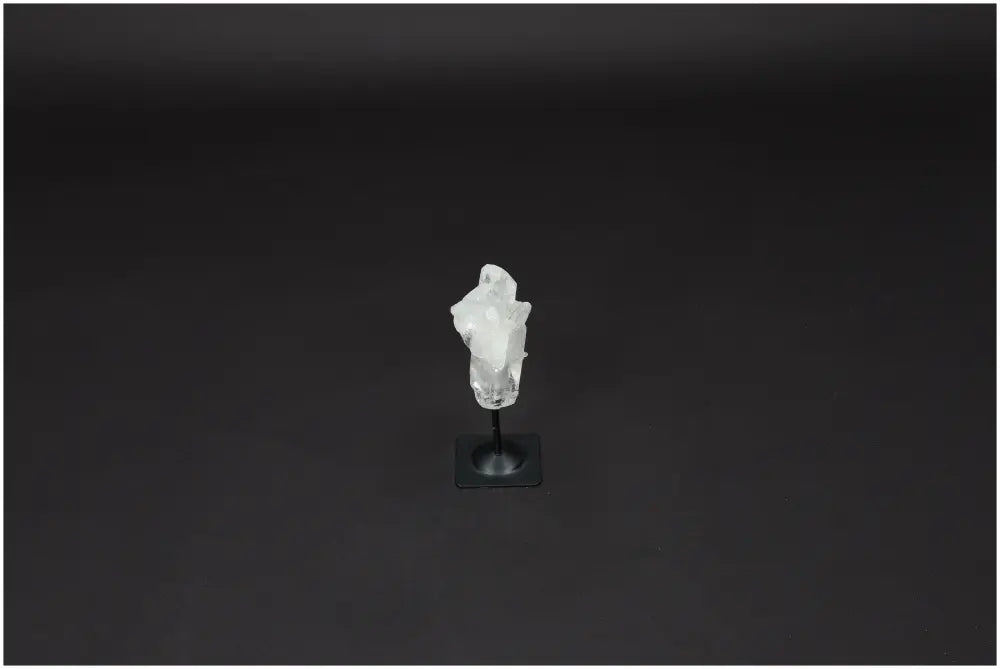 orbitvu|type:image2d