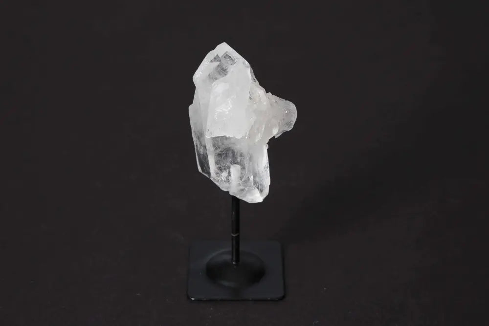 orbitvu|type:image2d