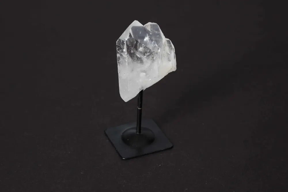 orbitvu|type:image2d