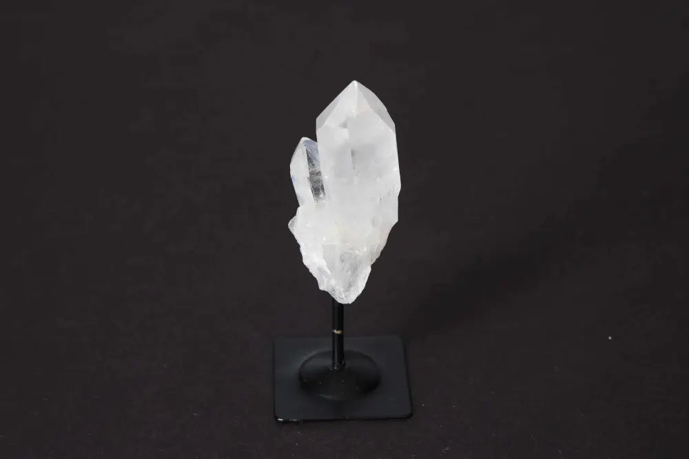 orbitvu|type:image2d