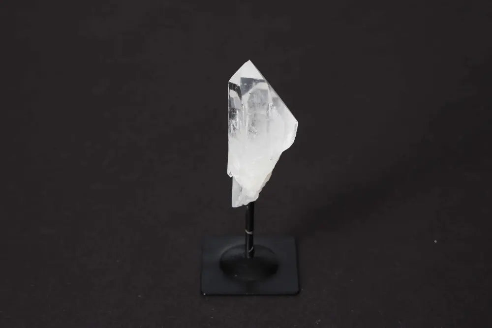 orbitvu|type:image2d