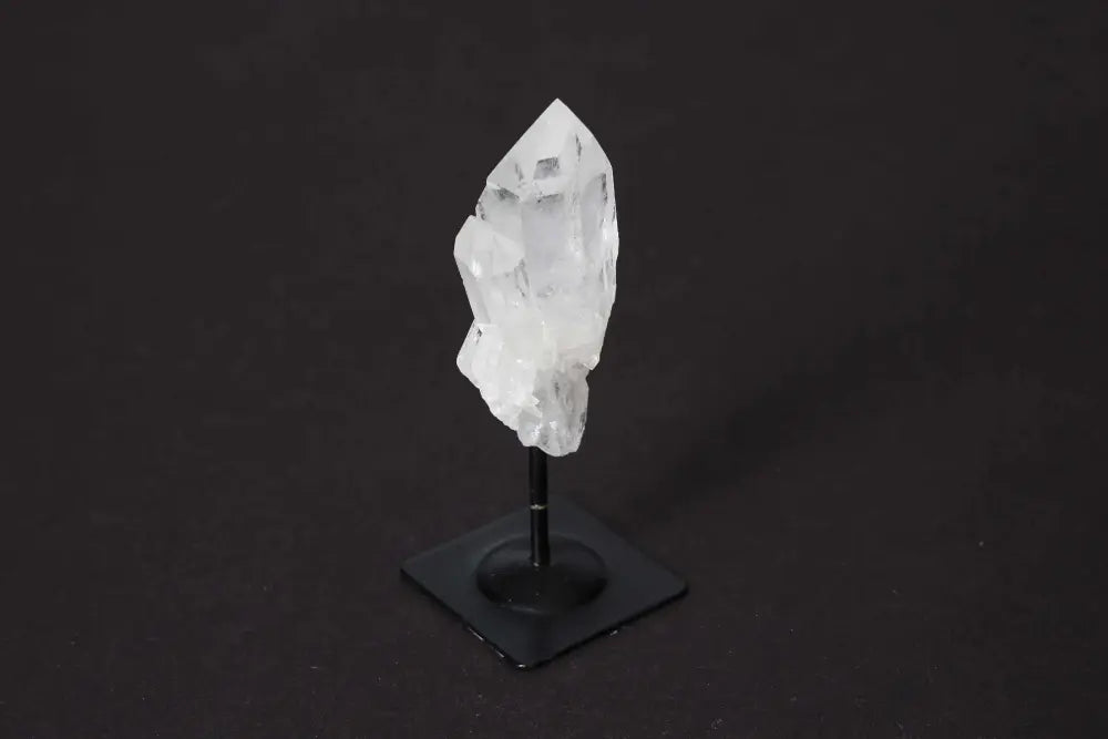 orbitvu|type:image2d