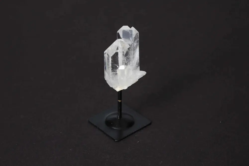 orbitvu|type:image2d