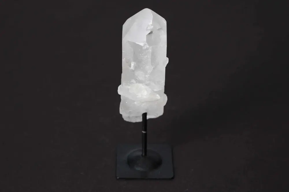 orbitvu|type:image2d