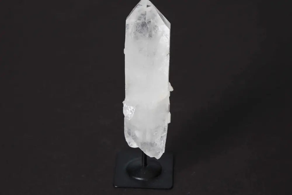 orbitvu|type:image2d