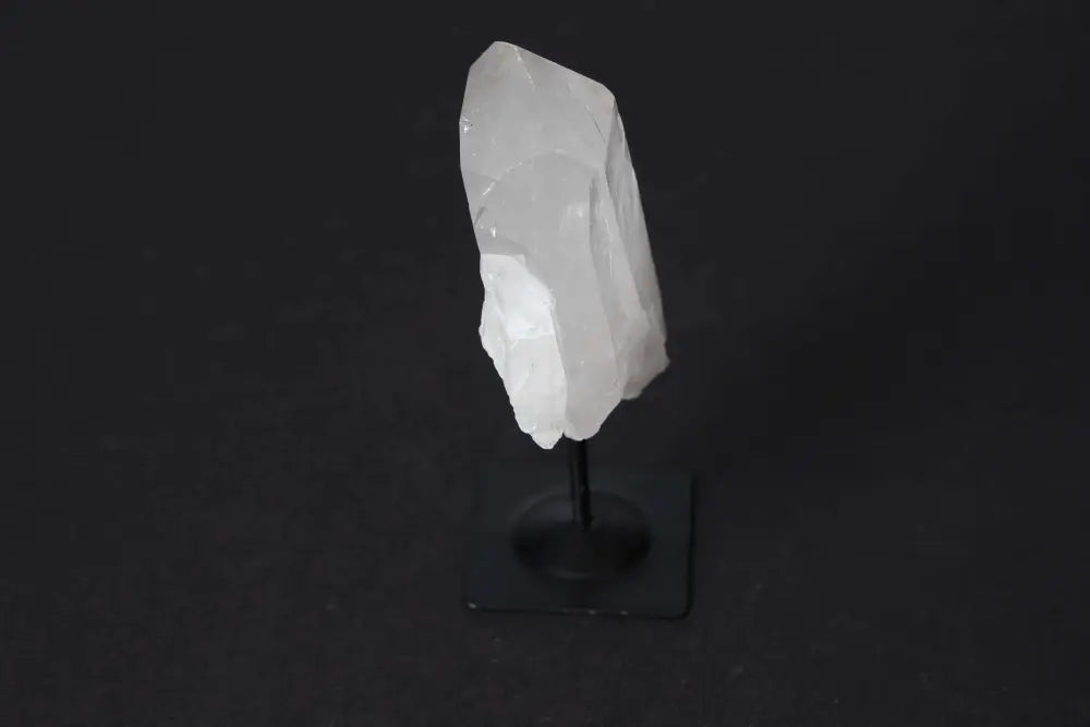 orbitvu|type:image2d